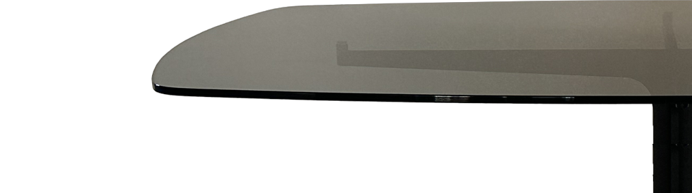 Fly Glass